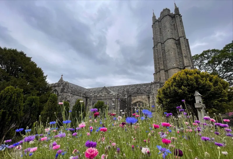 Created to Care: Why Chinnor's Green Churches Argue That Stewardship Is Theology
