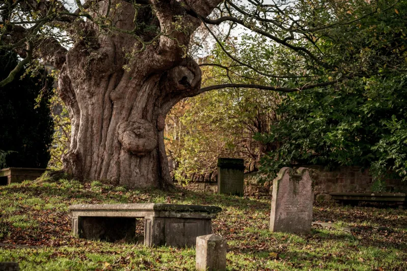 Earth to Earth: How Chilterns Churches Embrace Nature's Final Blessing