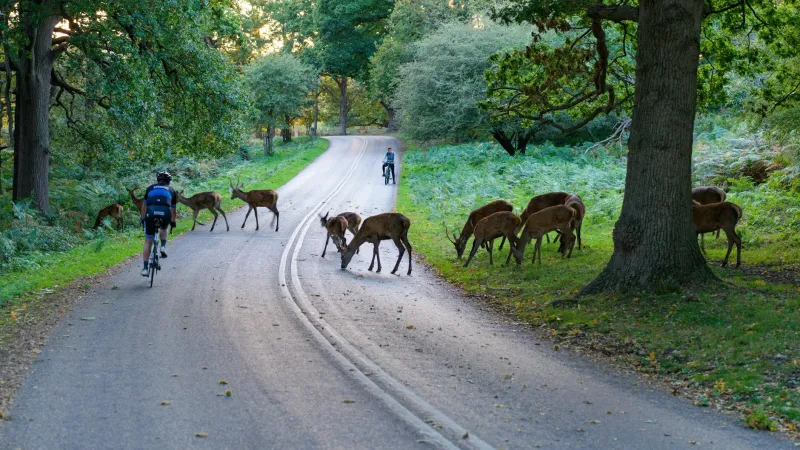 Pedalling Towards Prayer: The Spiritual Journey of Chilterns Cycling Pilgrims