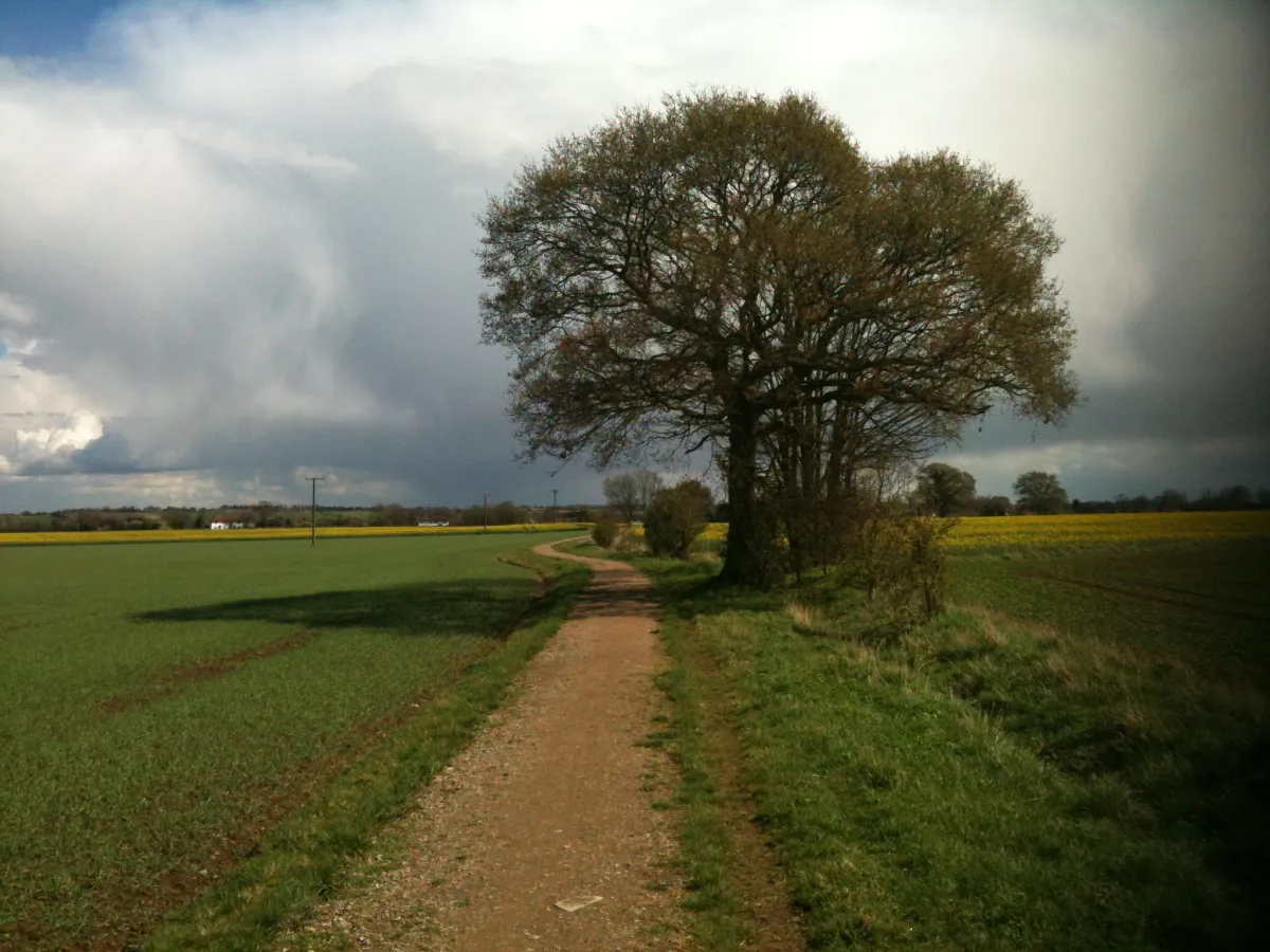 Icknield Way