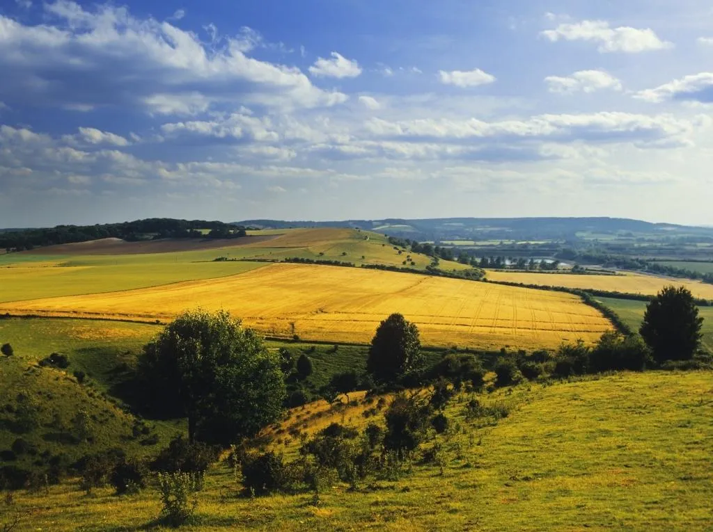 Chiltern Hills